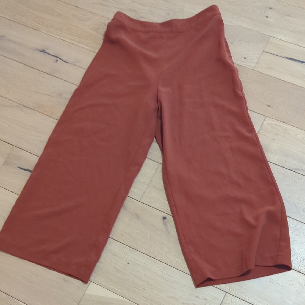 Rust Wide-Leg Pants